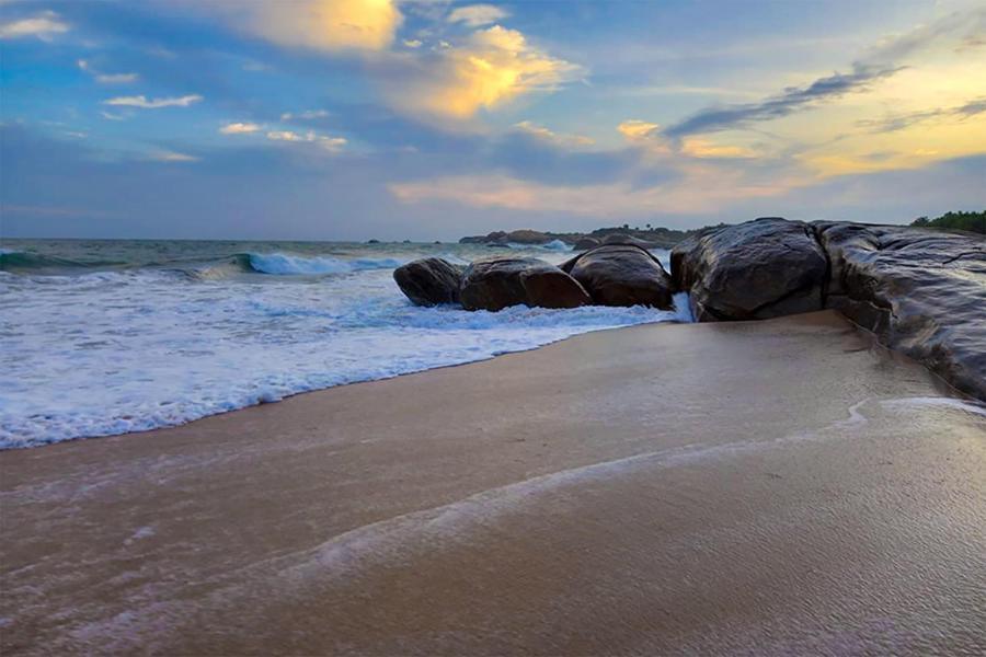 Thaulle Ayurveda Resort - Yala تيساماهاراما المظهر الخارجي الصورة