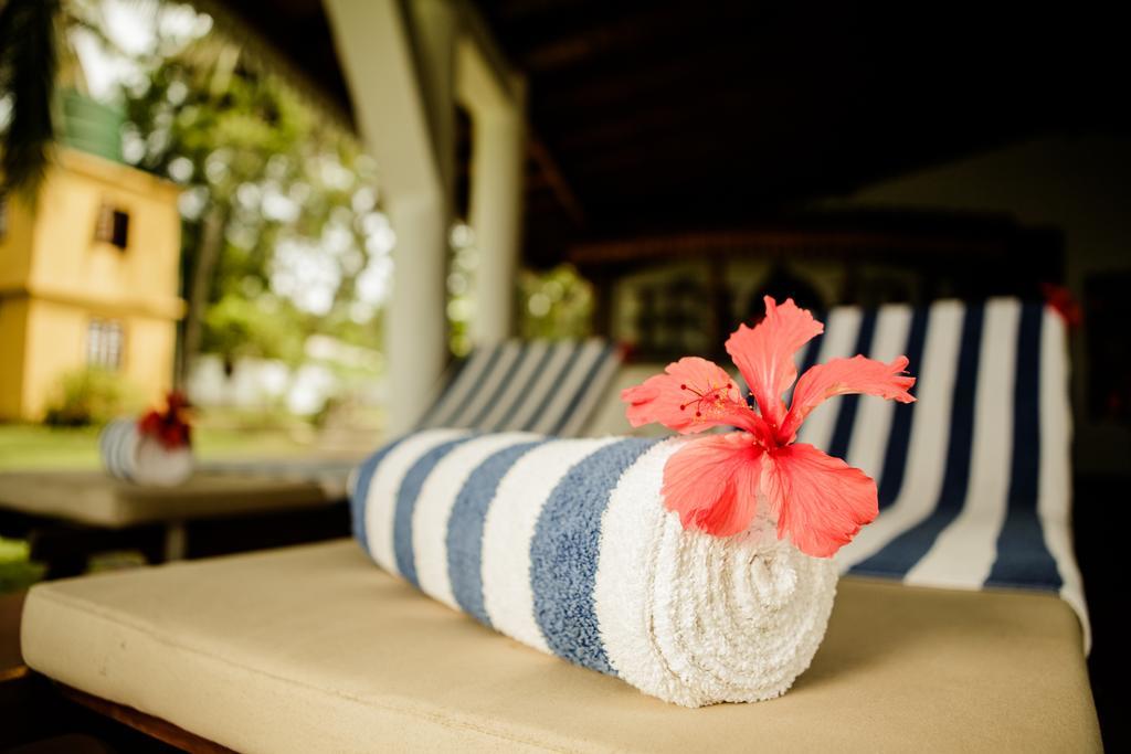 Thaulle Ayurveda Resort - Yala تيساماهاراما المظهر الخارجي الصورة